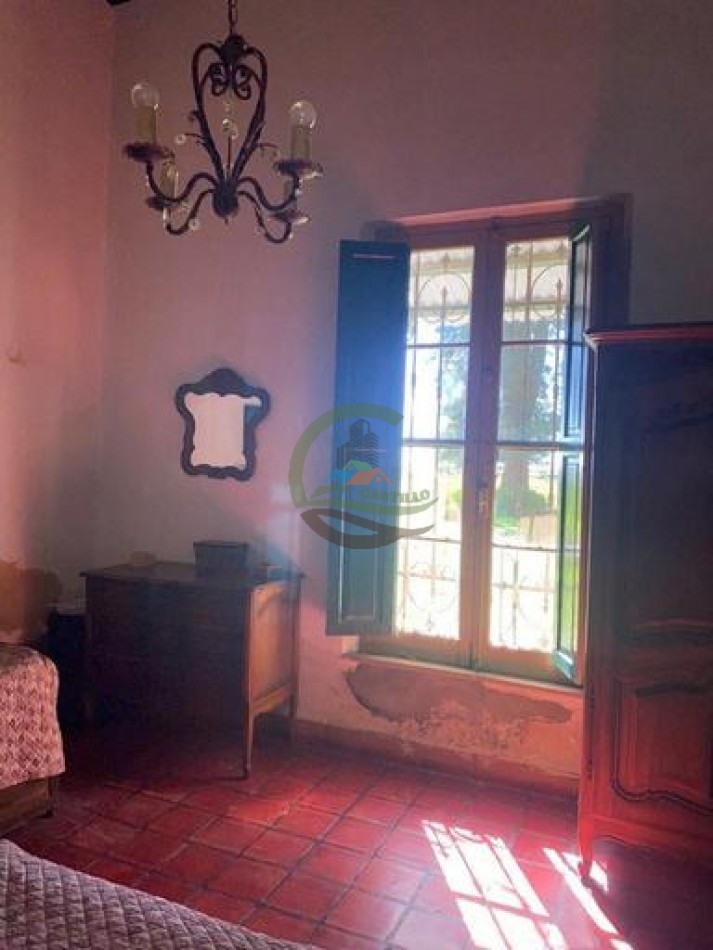 907 Ha Ganadero - Espigas - Olavarria