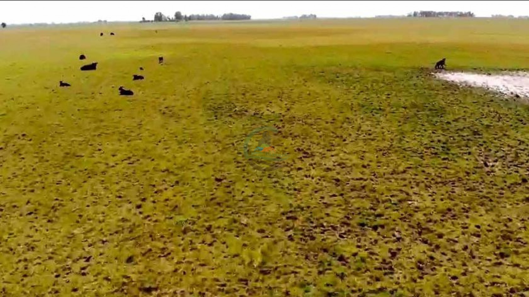 205 Ha Mixto -- Harosteguy - Las Flores