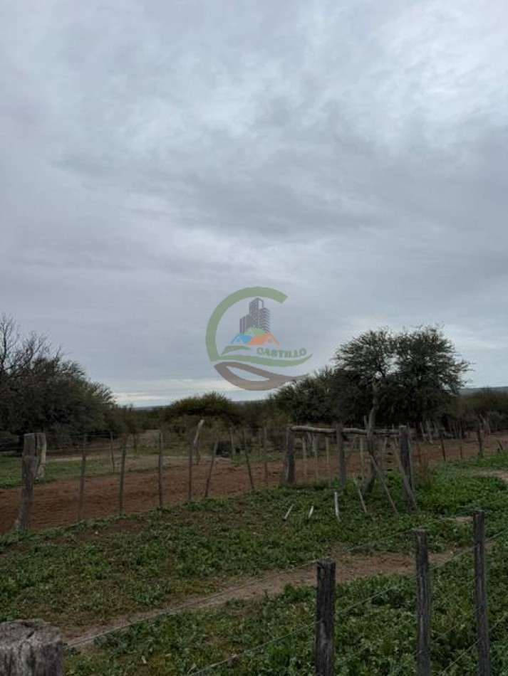 5117 Ha Ganadero - La Adela - La Pampa