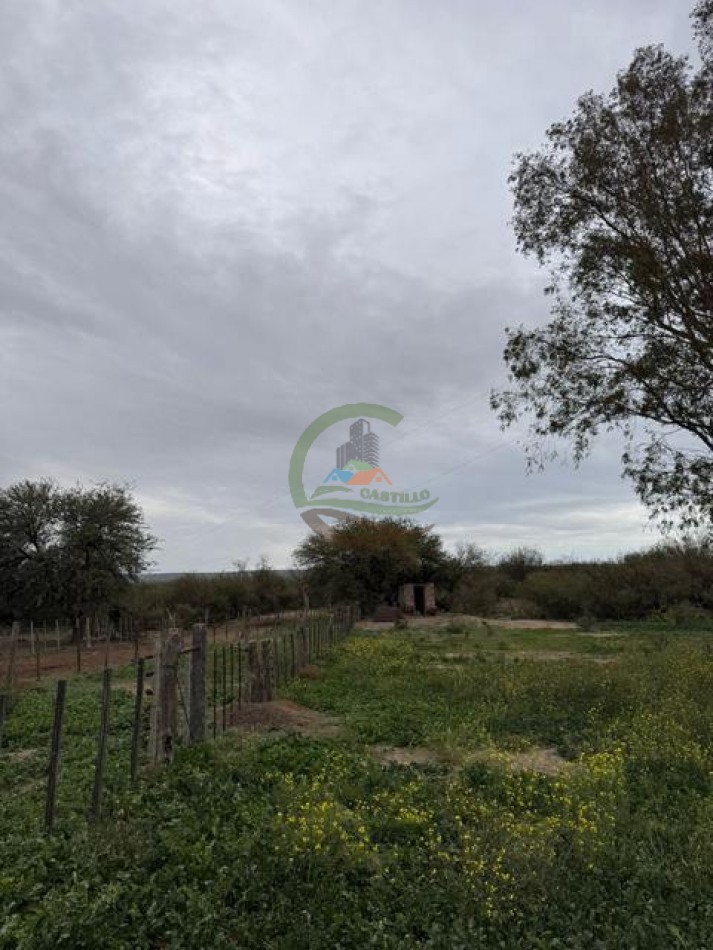 5117 Ha Ganadero - La Adela - La Pampa