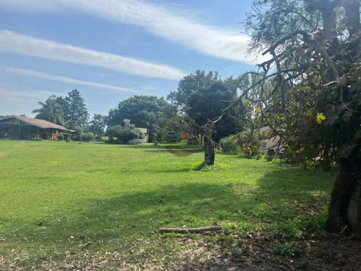 37,5 Ha Agricolas - Zarate