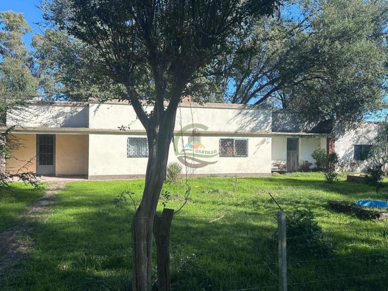 72 Ha Mixto - Chivilcoy
