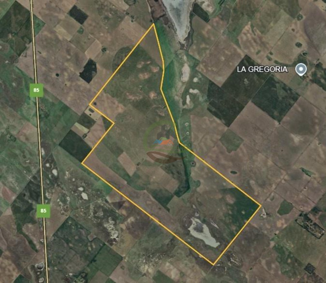 1087 Ha Mixto - Guamini