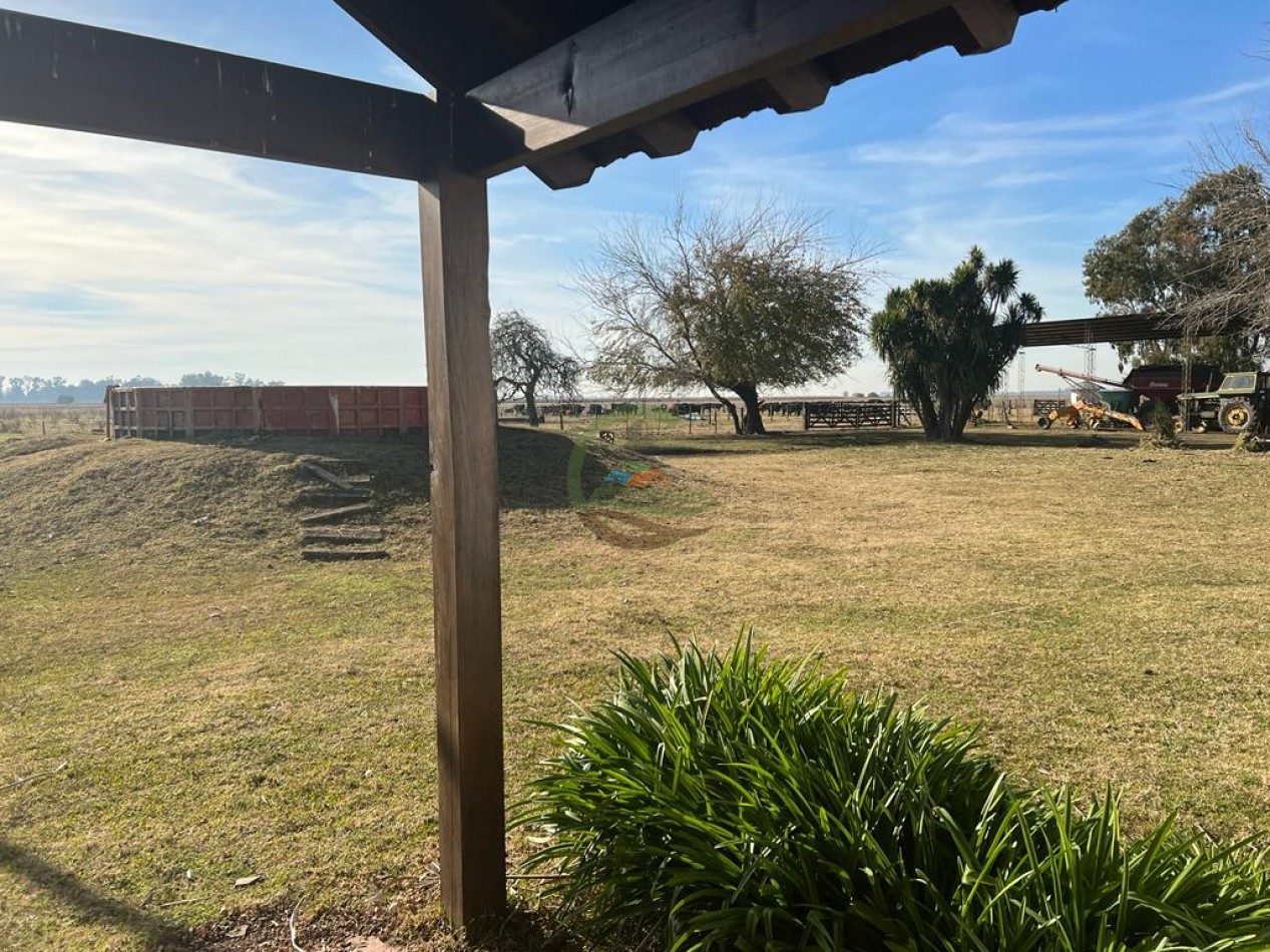 377 Ha Agricolas - San Miguel del Monte 