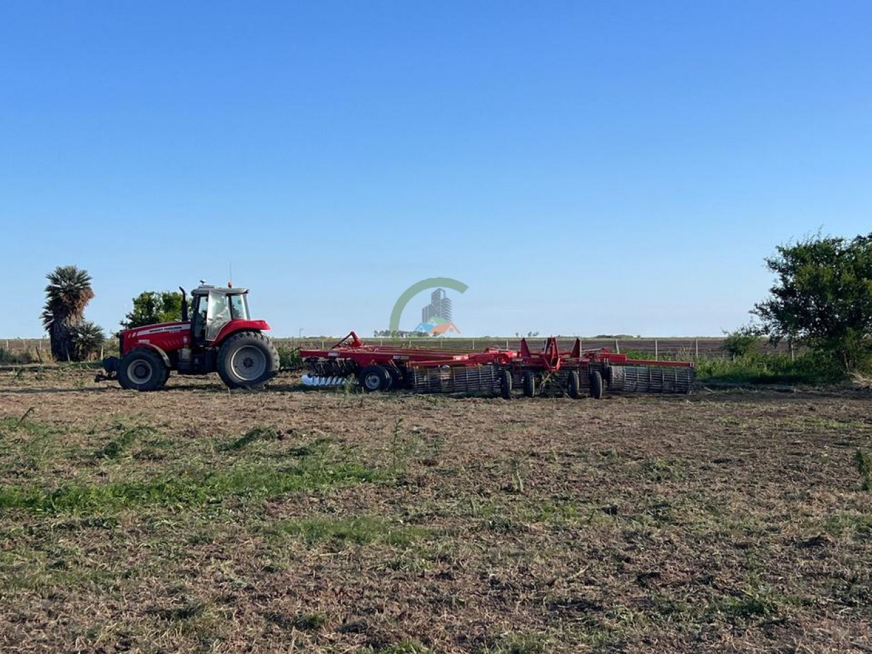 223 Ha Agricolas - El Florentino - Cordoba  