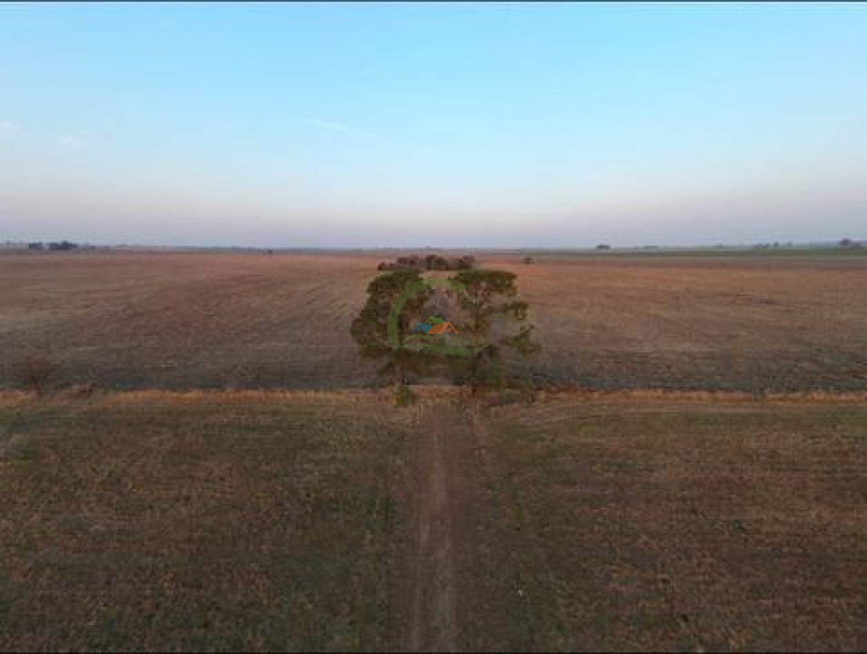 1537 Ha Agricolas - San Fabian - Santa Fe