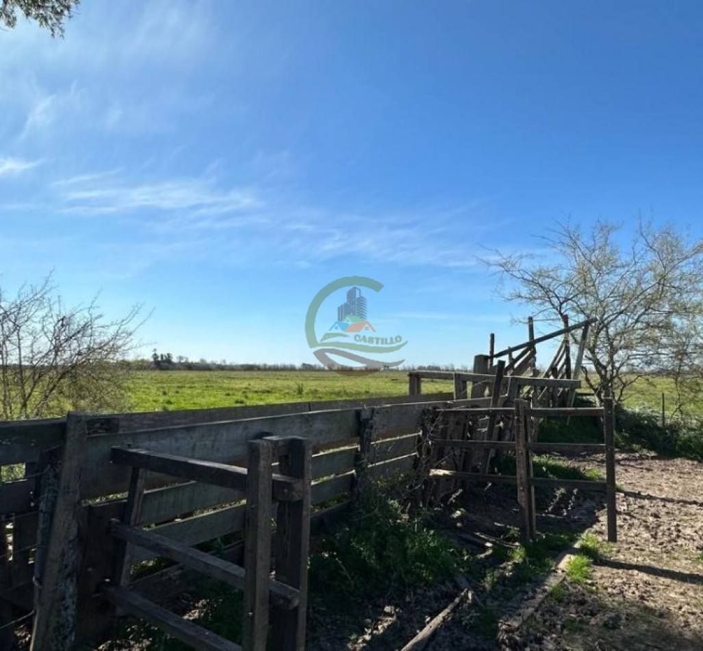 220 Ha Ganadero - Oliden - Brandsen