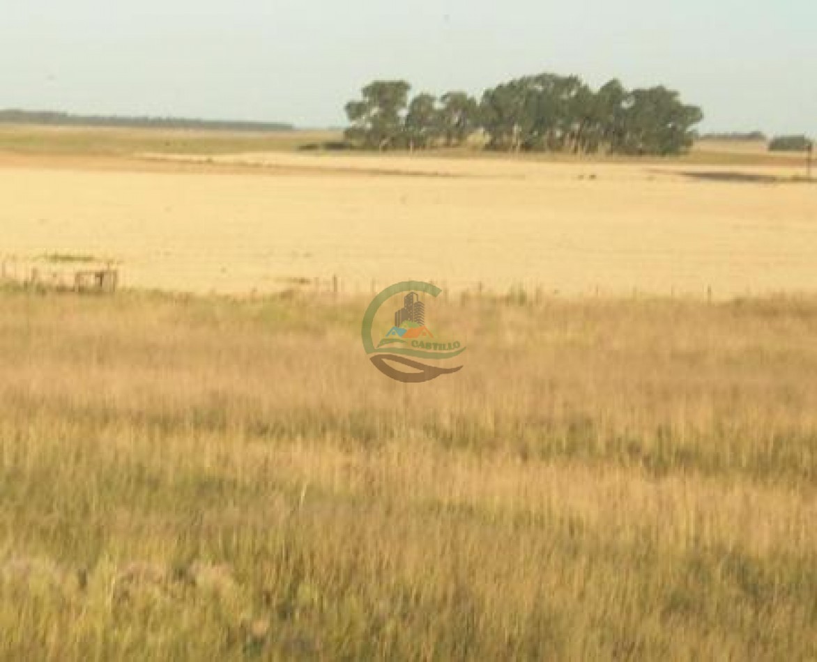 400 ha mixtas - guamini