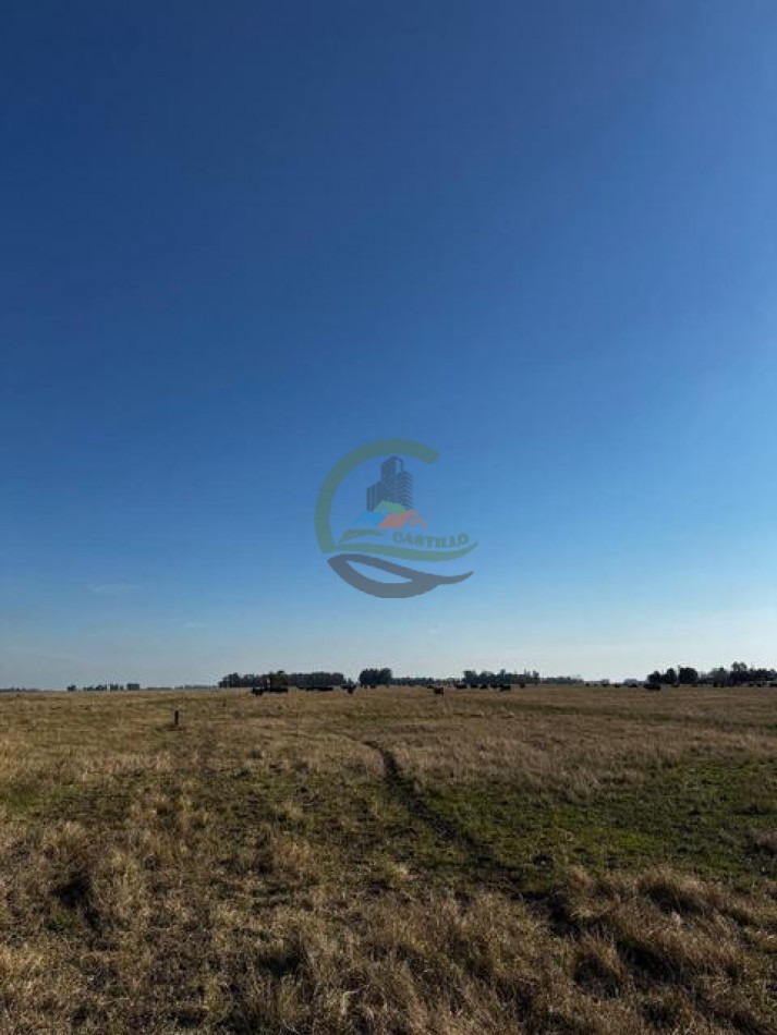 252 Ha Mixto - Mercedes