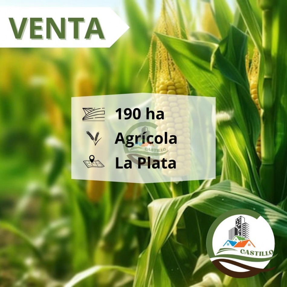 193 Ha Agricolas - La Plata 