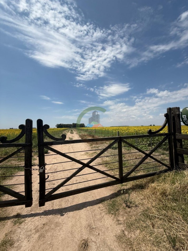 150 Ha Mixto - Urdampilleta - Bolivar