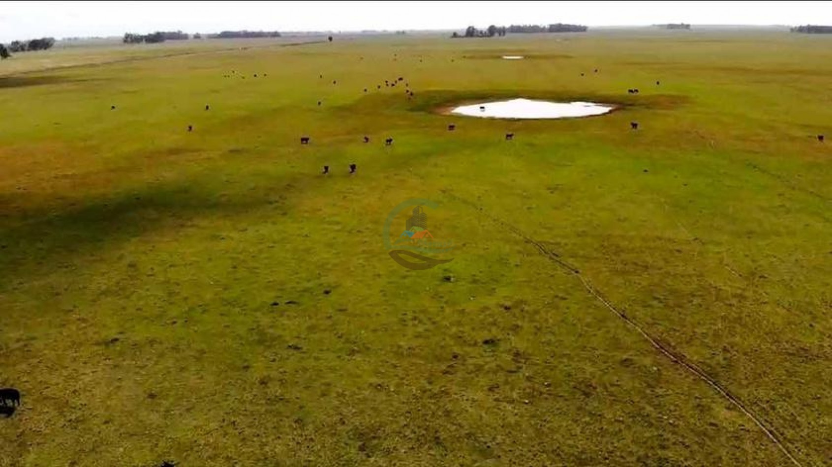 205 Ha Mixto -- Harosteguy - Las Flores