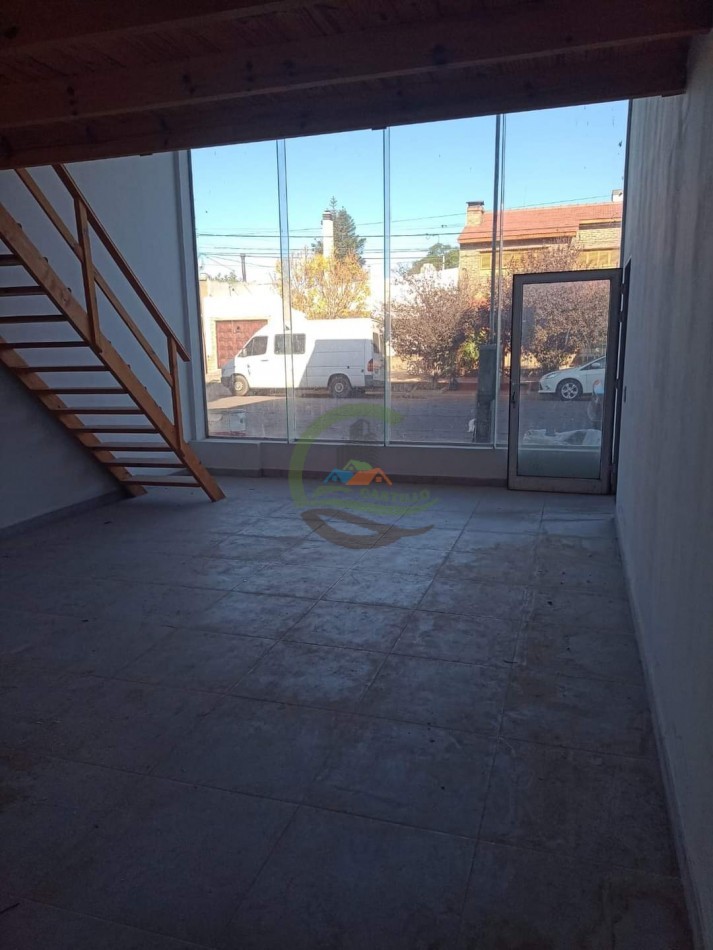 Local Comercial - Treque Lauquen