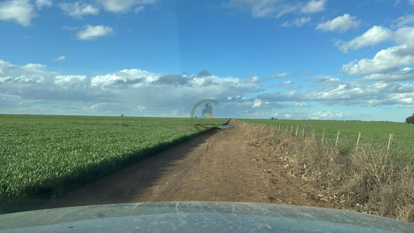 809 Ha Agricolas - Coronel Dorrego