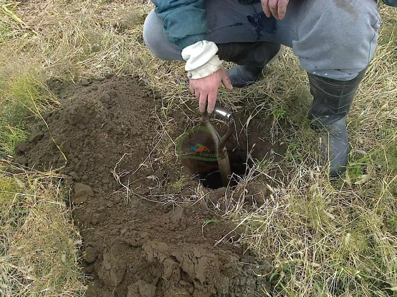 235 Ha Mixto - Tornquist
