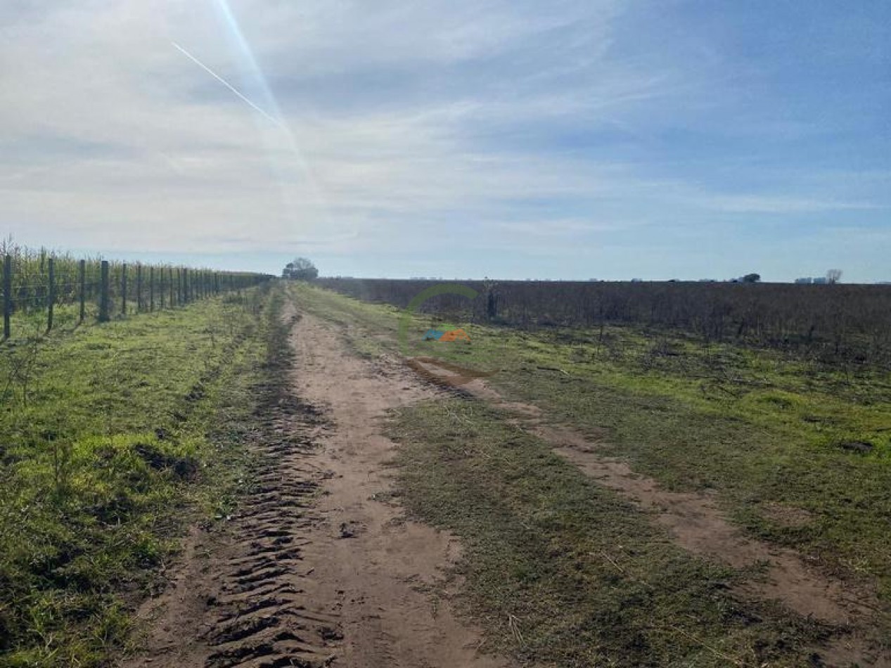 38 Ha Agricolas - Bolivar