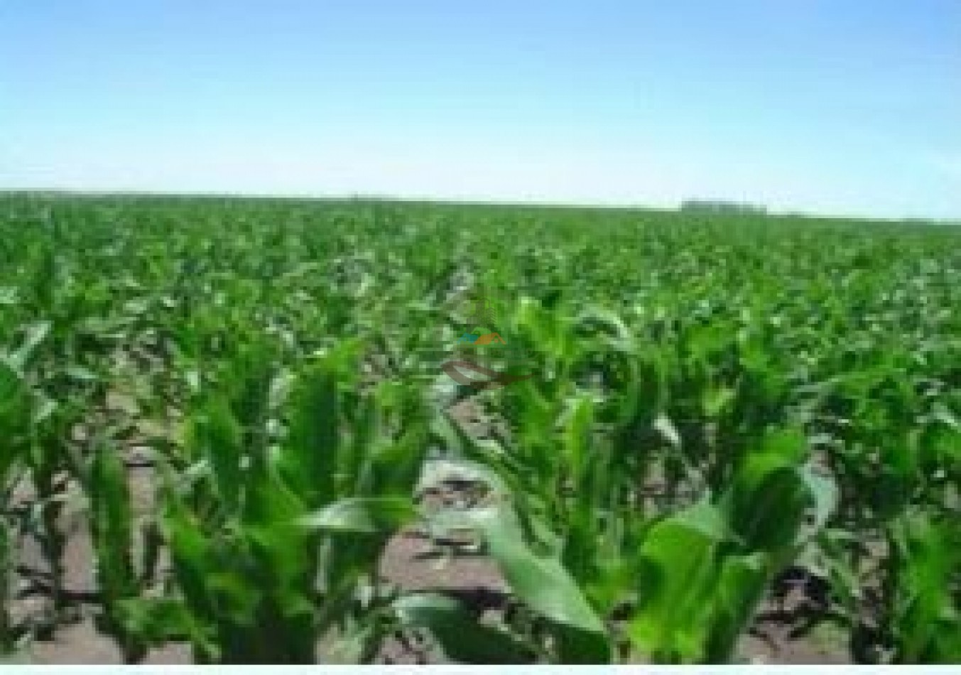 639 Ha Mixtas - Murphy - Santa Fe