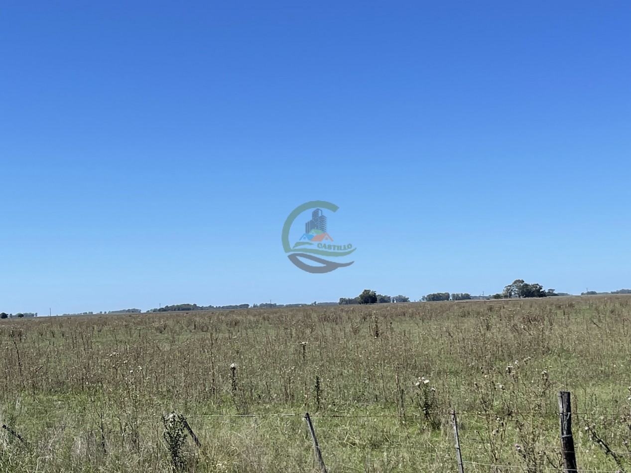 47 ha MIxta - Saladillo
