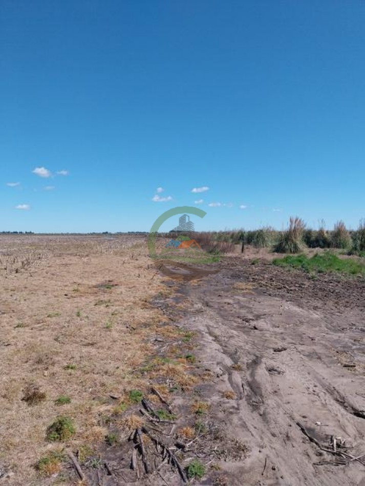 1104 Ha Agricolas - San Miguel del Monte