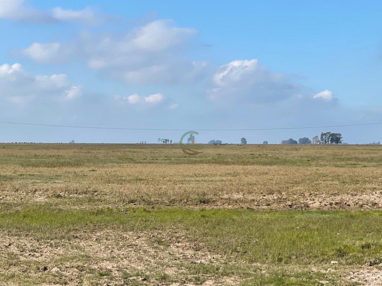 1361 ha Mixta - Olavarria 