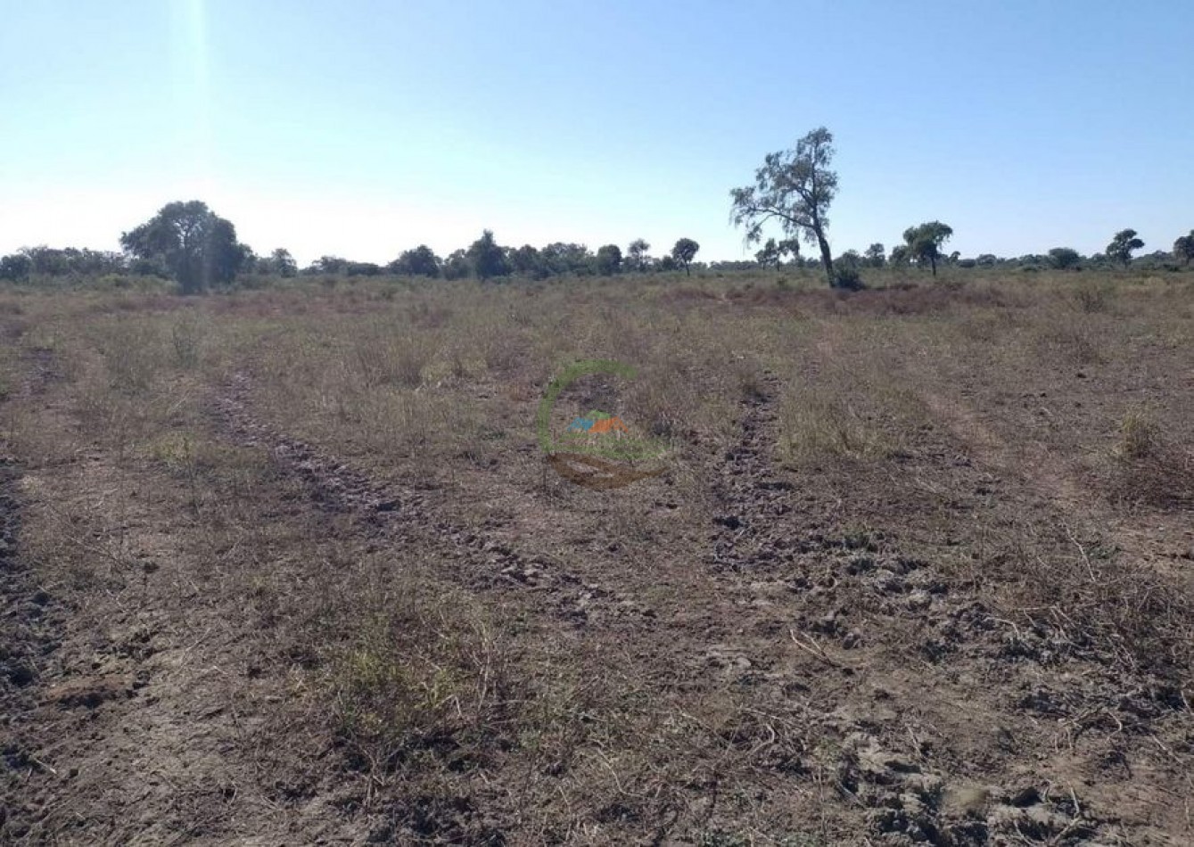 760 Ha Ganadero -  Malbran - Santiago del Estero