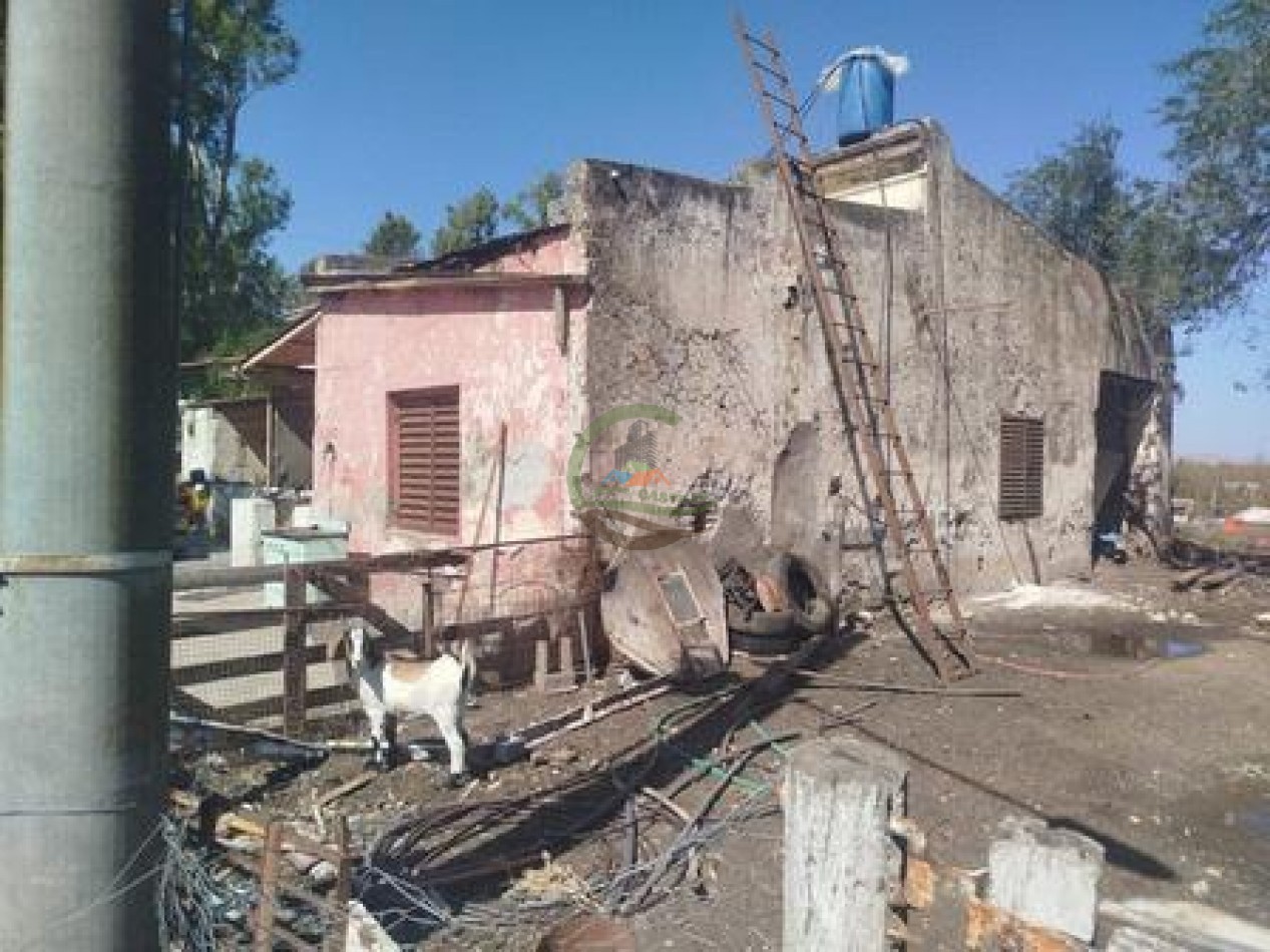 43 Ha mixto - Olavarria