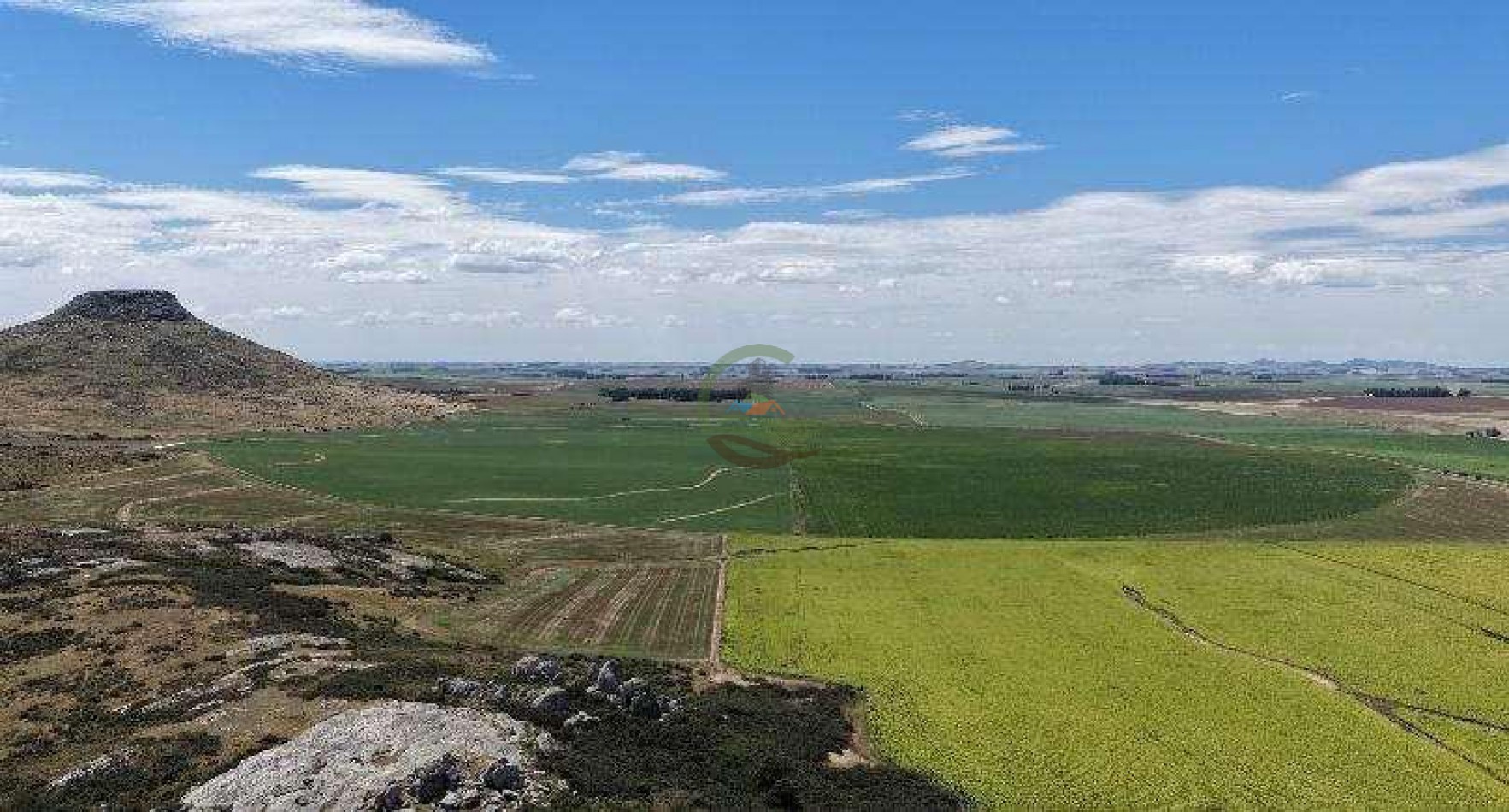 2057 Ha Mixto - Loberia