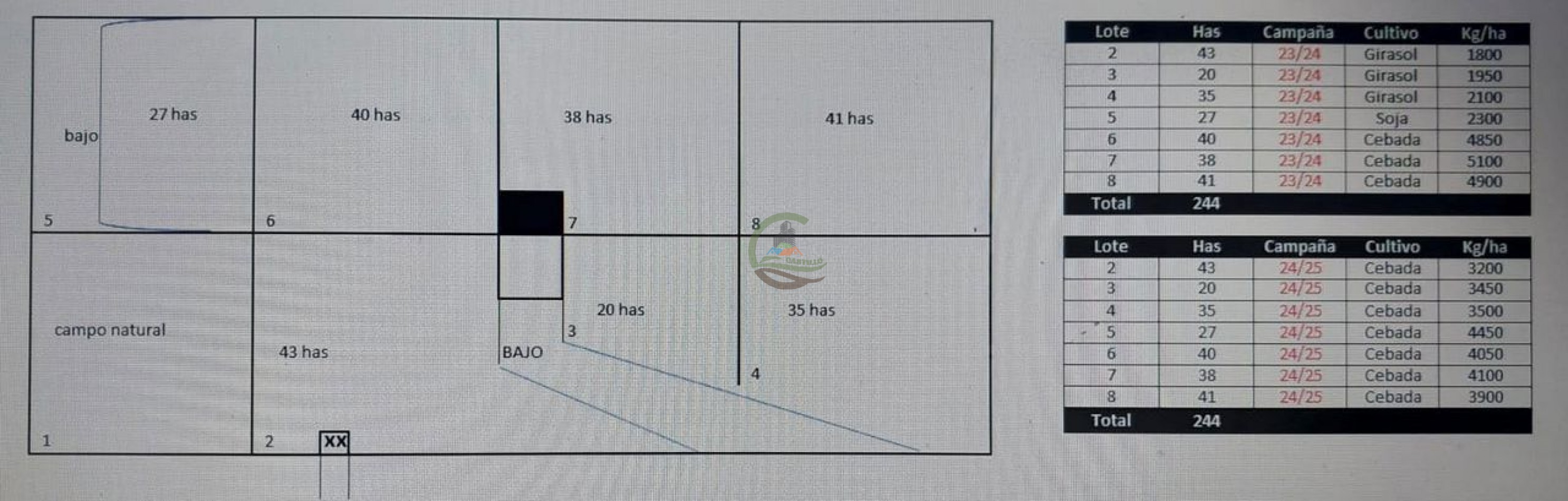 338 Ha Mixto - San Cayetano 