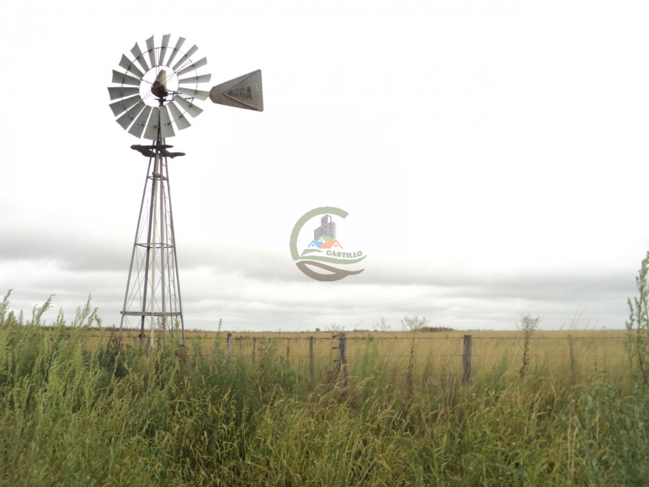 603 Ha Agricolas - Gral Pinto