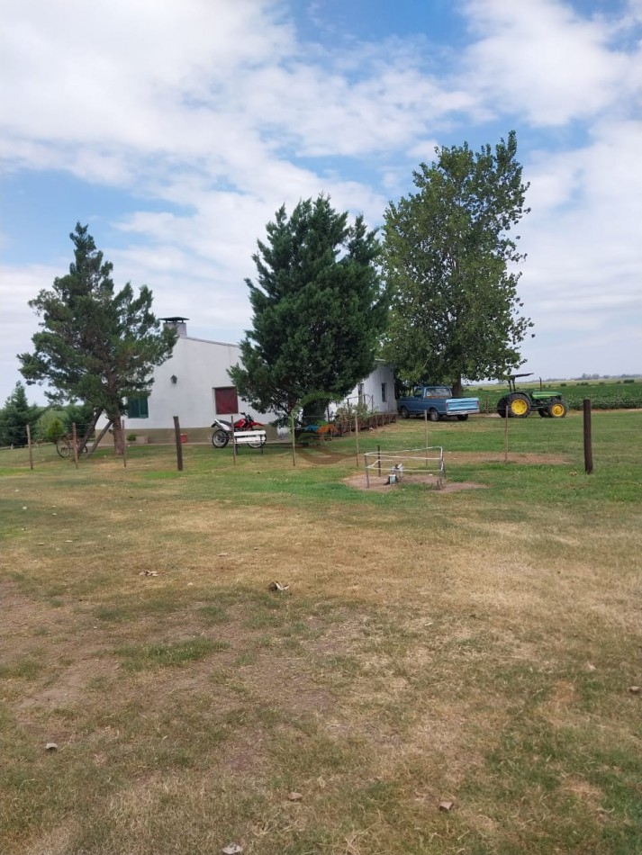 515 ha MIxtas - Pergamino