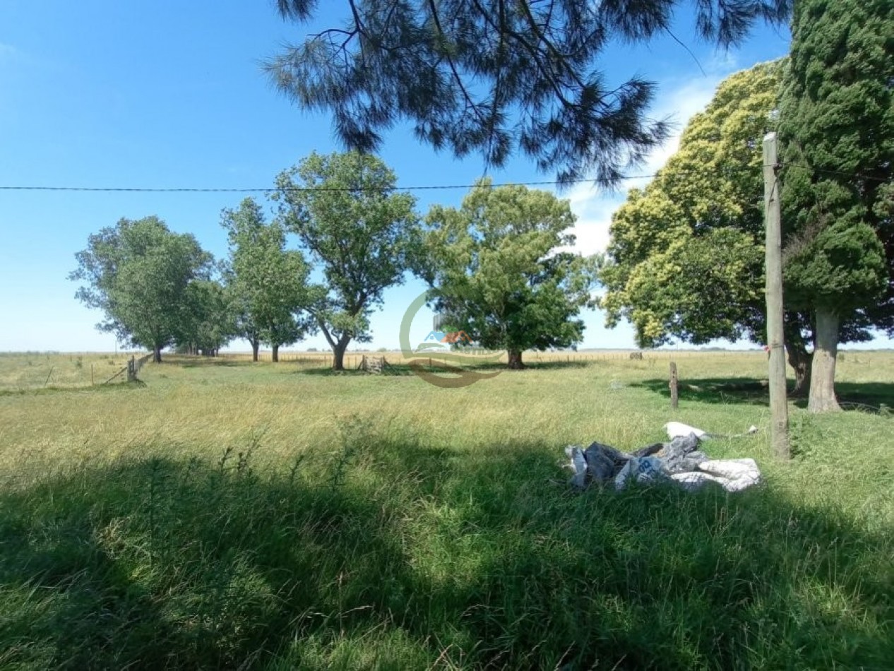 302 Ha Ganadero - Comandante Giribone - Chascomus