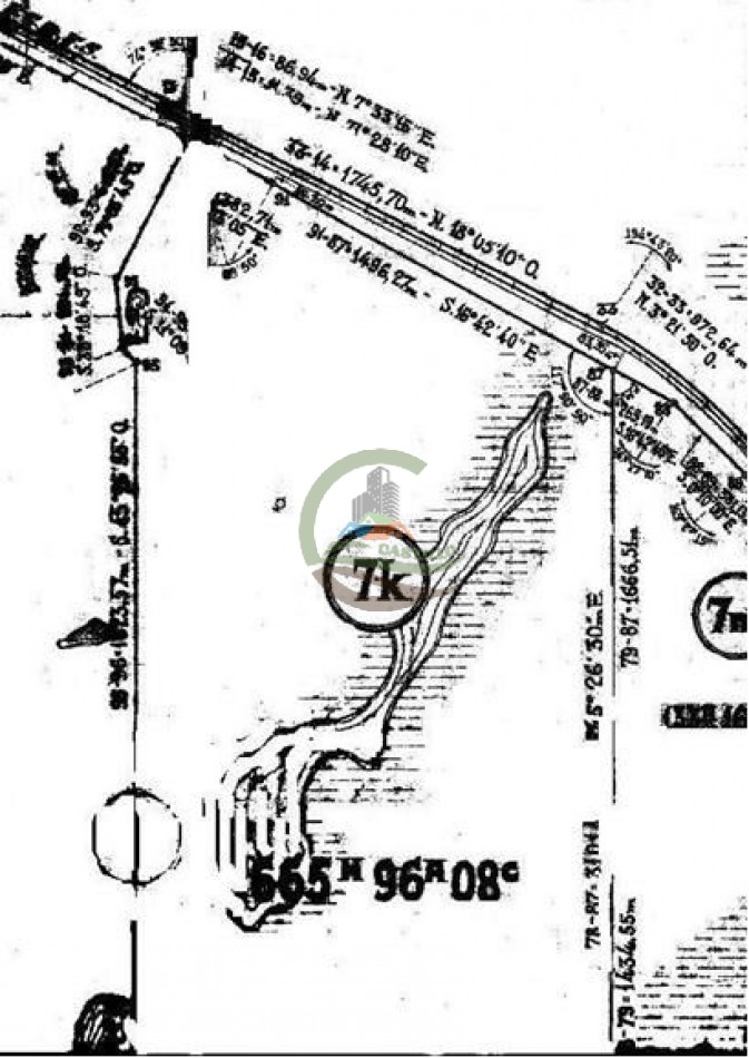 1354 Ha Mixto - Carhue