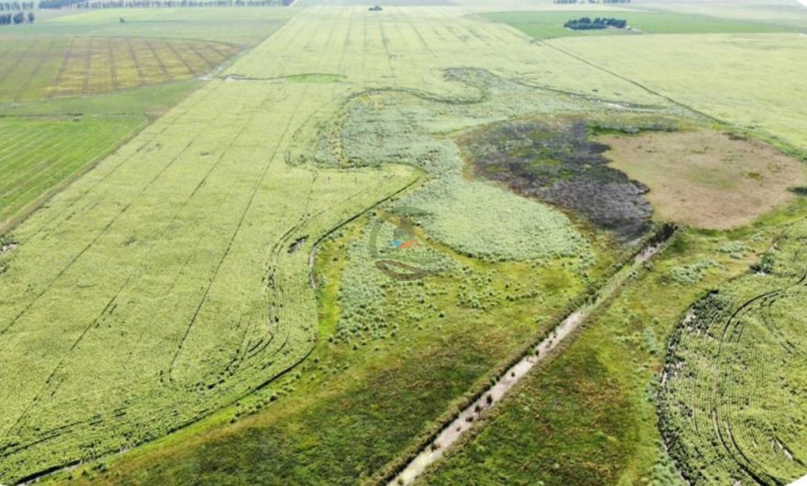 100 Ha Agricolas - San Agustin - Balcarce 
