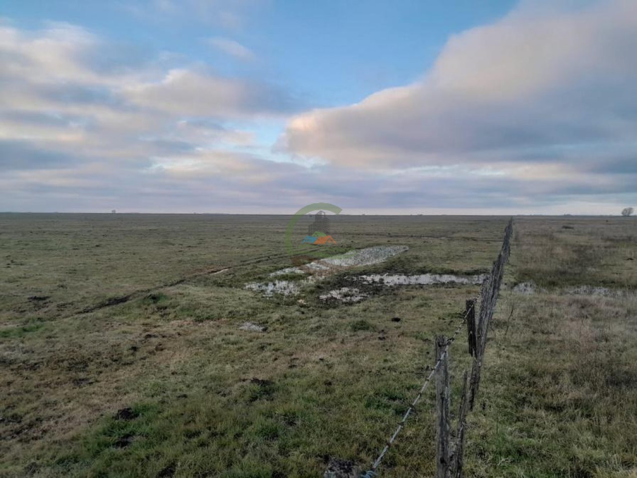 160 Ha Ganadera - Recalde - Olavarria