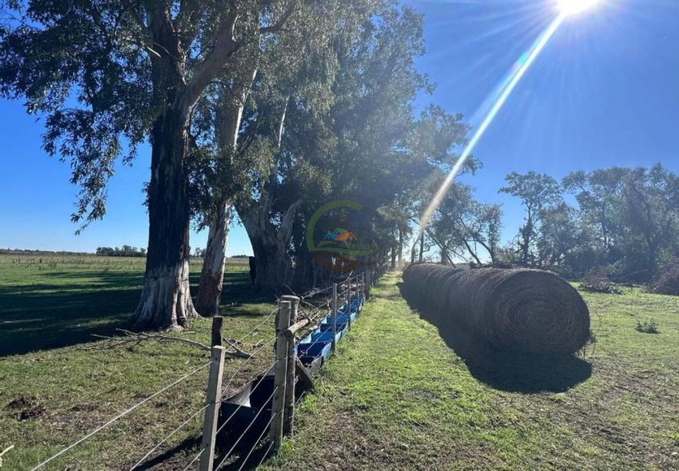 72 Ha Mixto - Chivilcoy