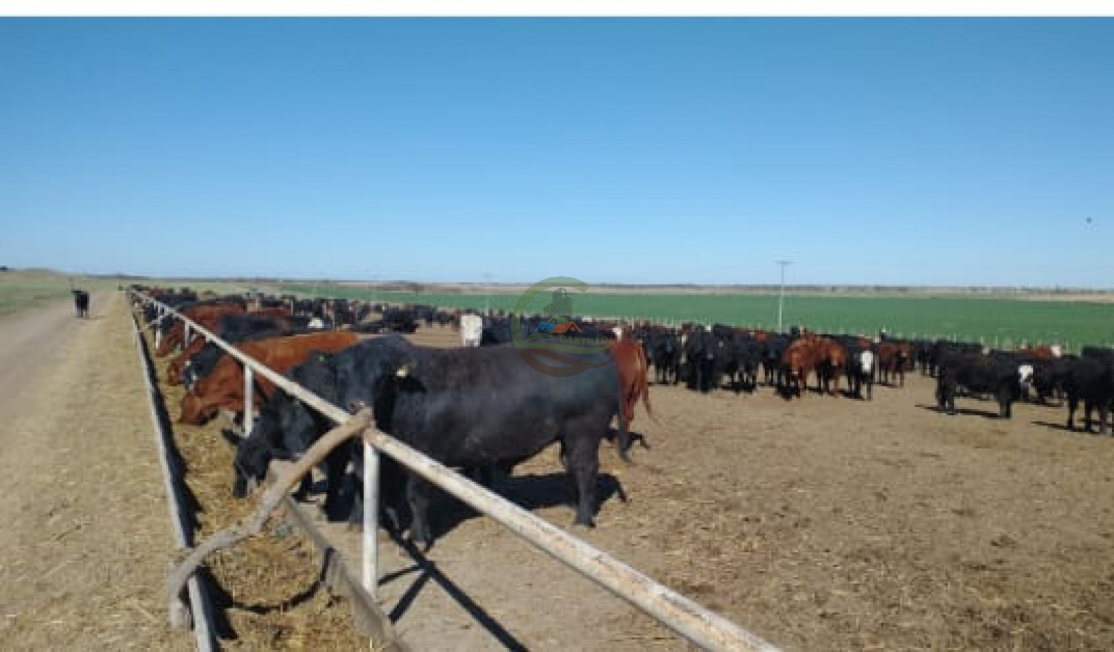 500 Ha Mixtas - Gobernador Dupuy - San Luis