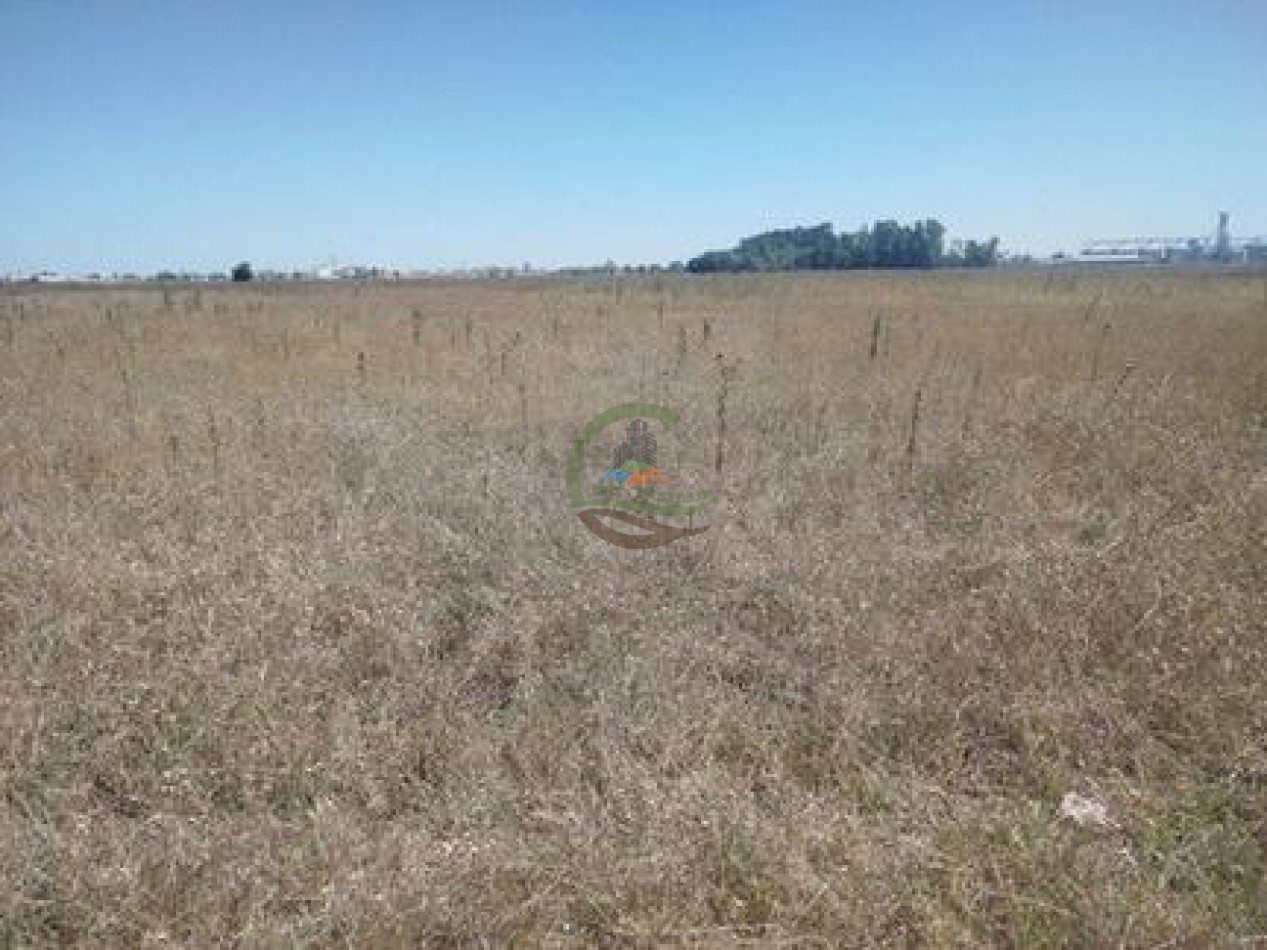 43 Ha mixto - Olavarria