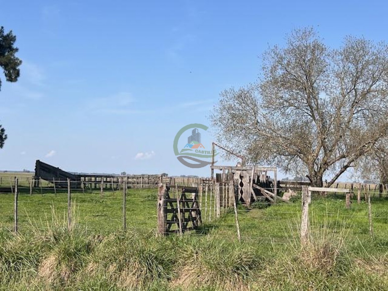 422 Ha Mixto - Las Flores
