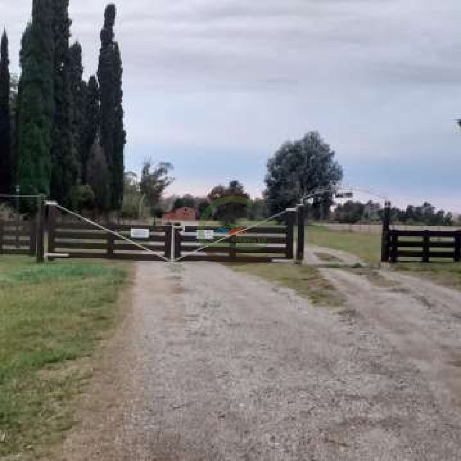 1583 ha Mixto - Loberia