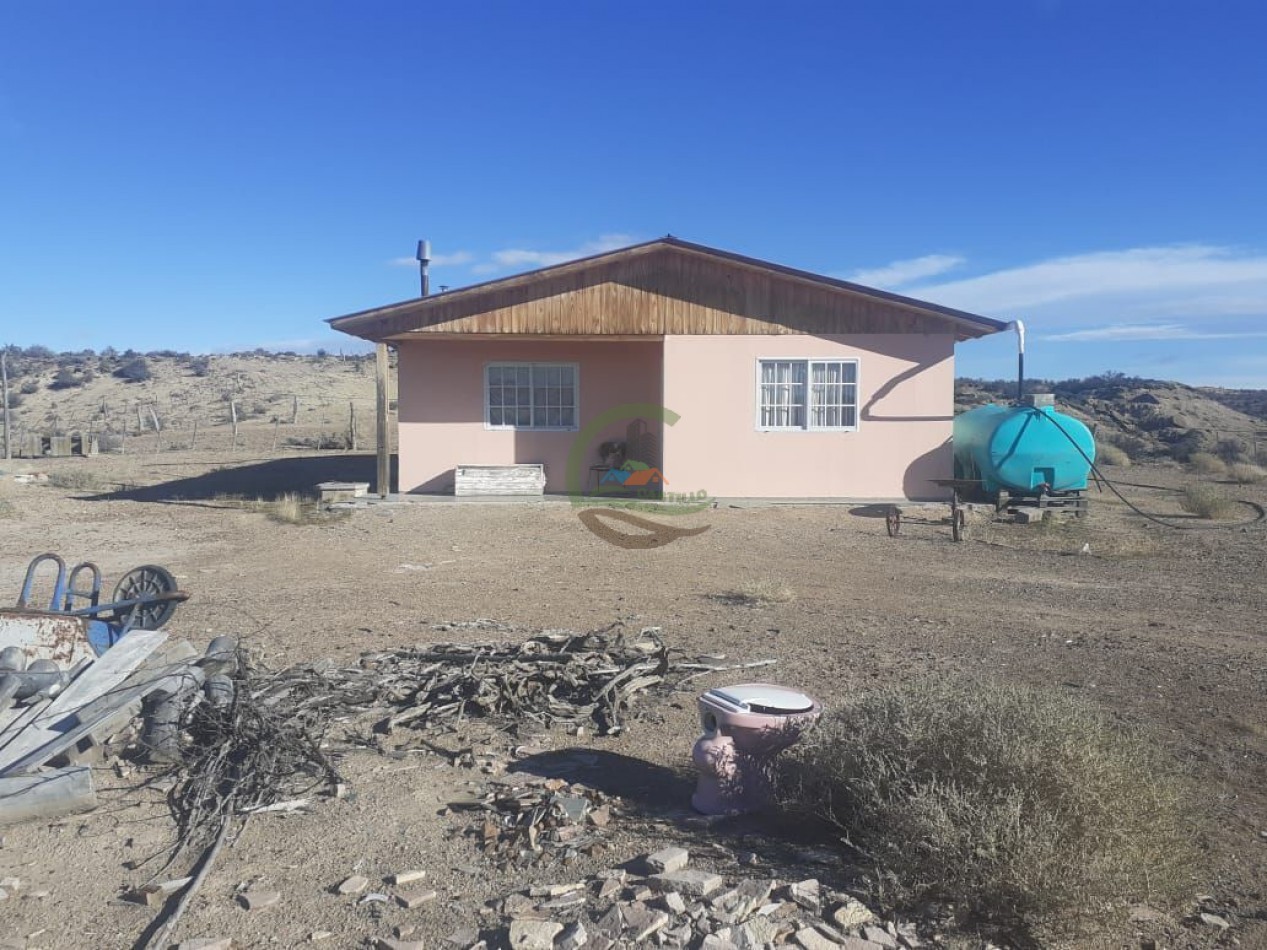 59000 ha Ganadero - Chubut