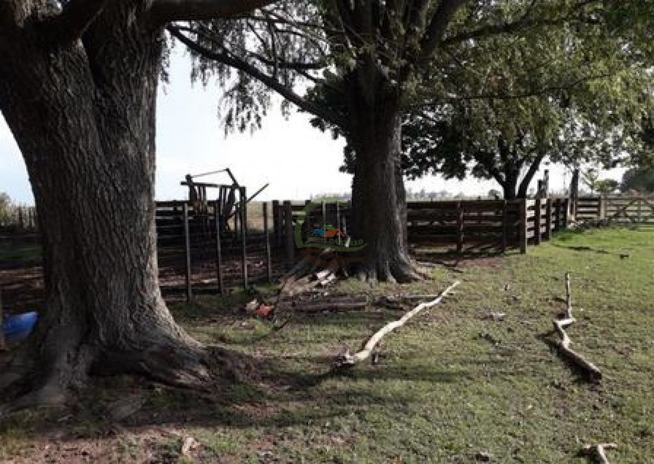 132 Ha Mixto - Magdalena