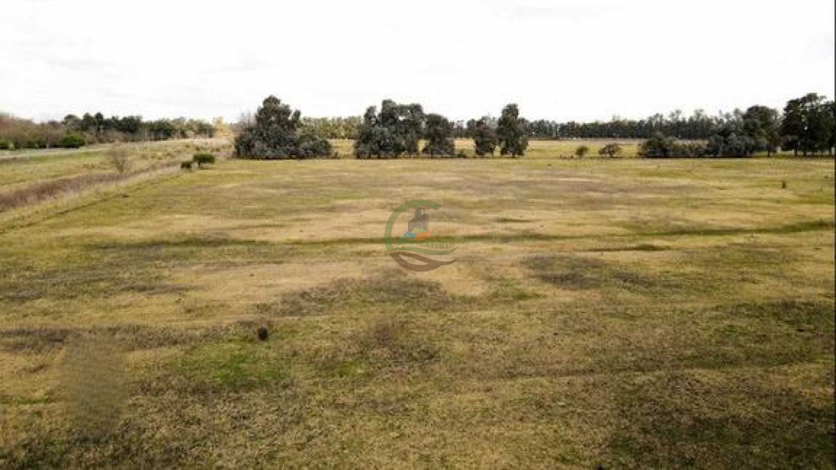 37 Ha Mixtas - San Miguel del Monte