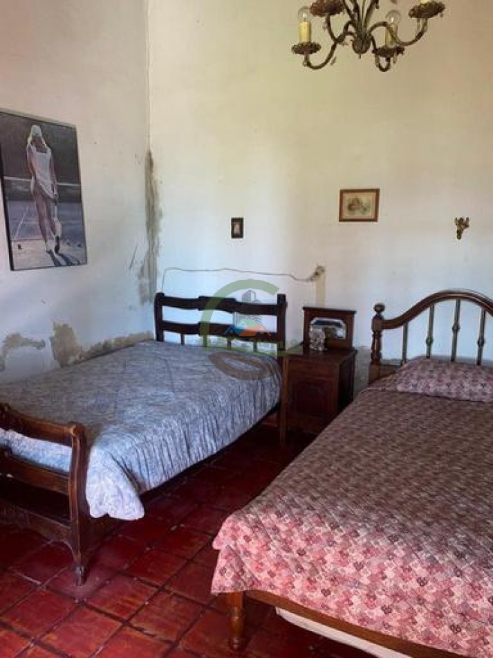 907 Ha Ganadero - Espigas - Olavarria