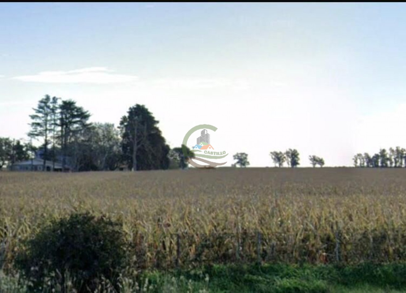1537 Ha Agricolas - San Fabian - Santa Fe