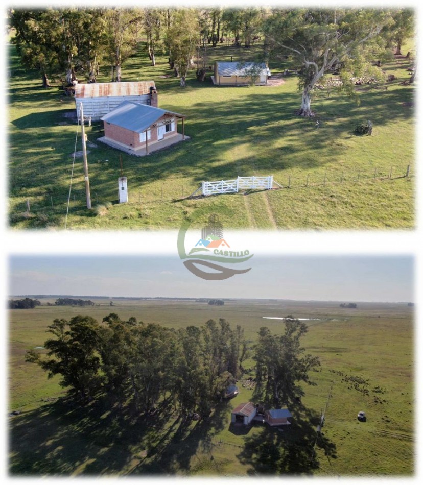438 Ha Ganadero - Crotto - Tapalque
