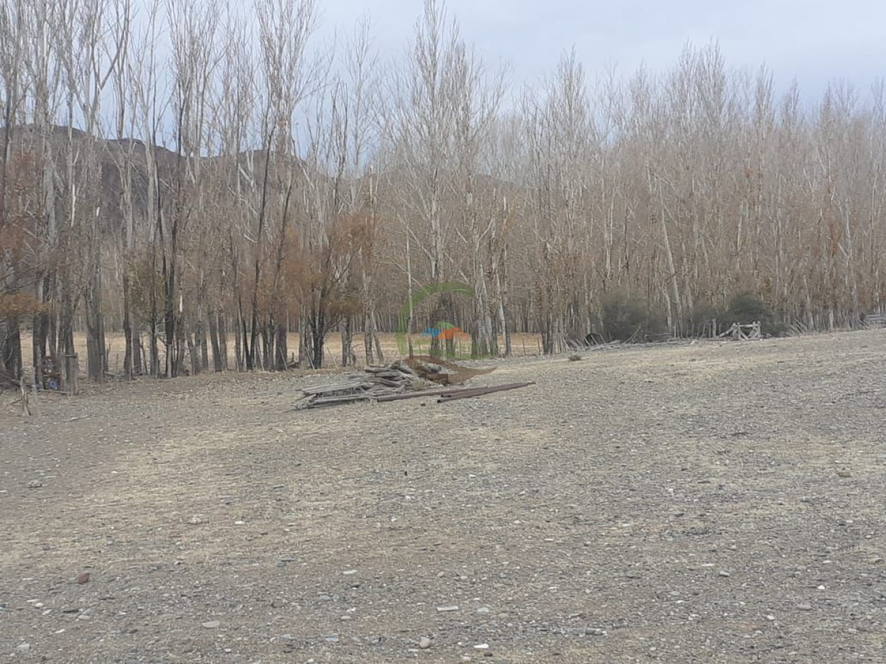 59000 ha Ganadero - Chubut