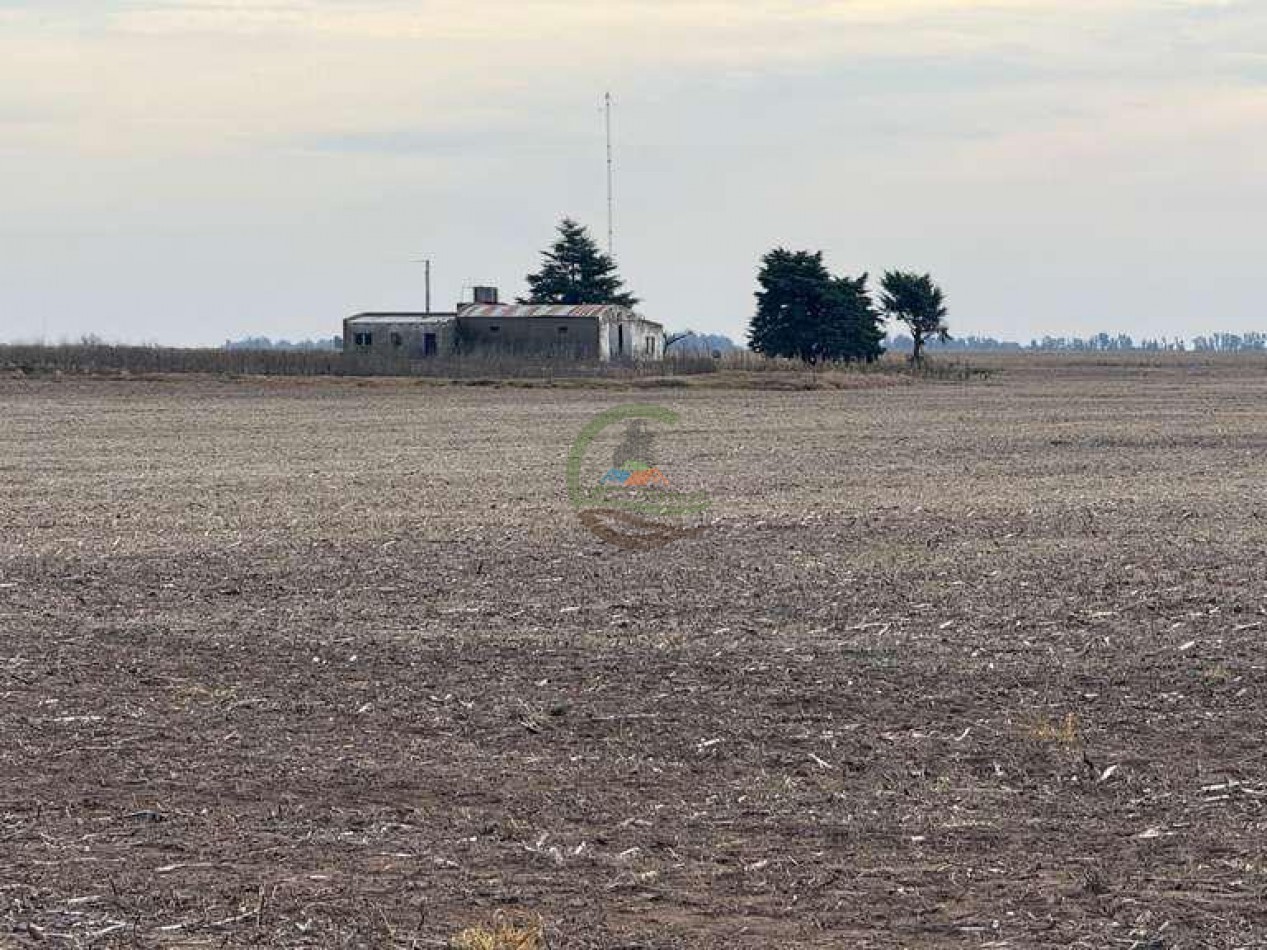 639 Ha Mixto - Urdampilleta - Bolivar