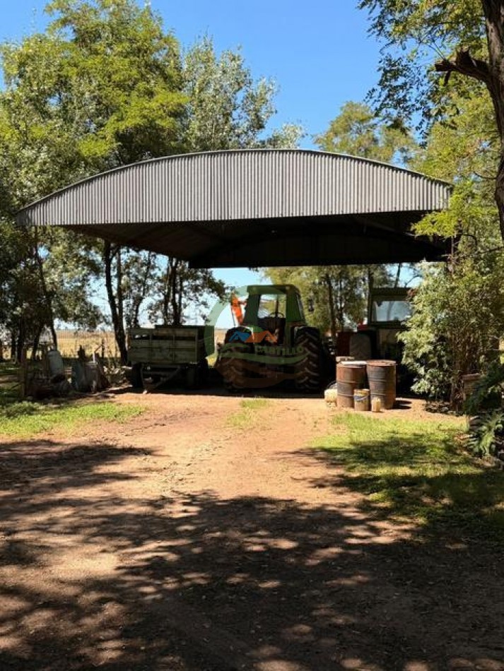 469 Ha Mixto - Chascomus