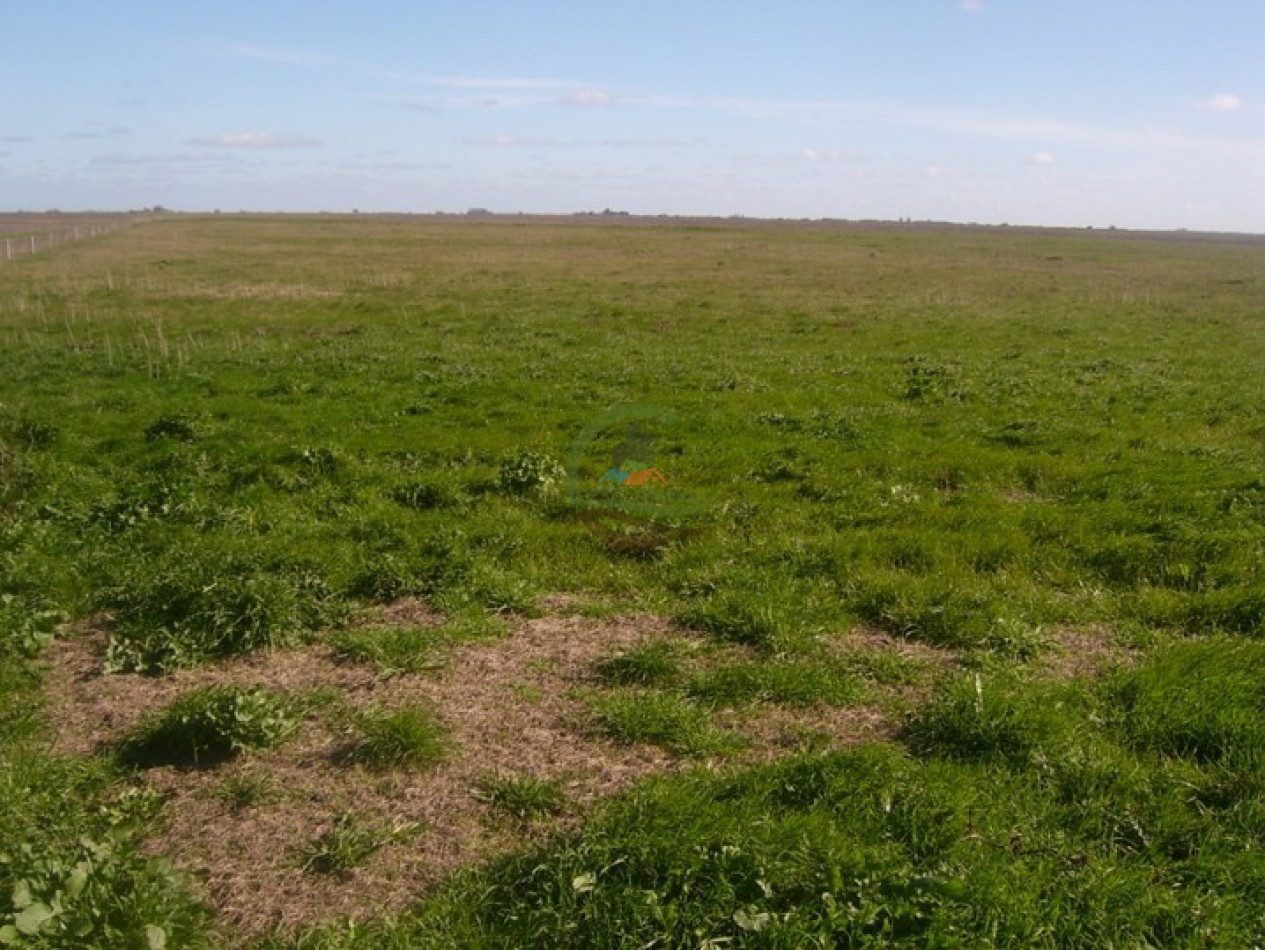 512 Ha Mixto - Gral. Lavalle