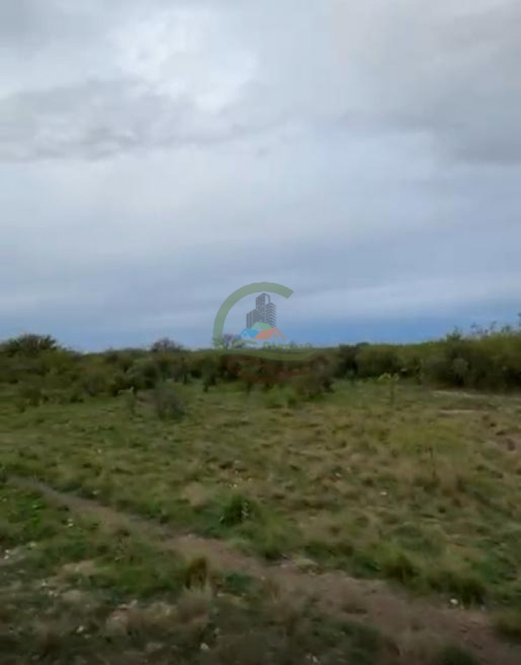 5117 Ha Ganadero - La Adela - La Pampa